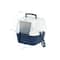 IRIS® 31qt. Blue Cat Litter Box with Hooded Lid